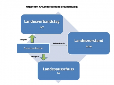 Organe und Struktur in der Jungen Union Landesverband Braunschweig