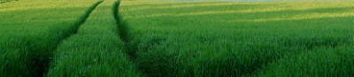 Unsere Grunds�tze geben uns eine Spur voraus.